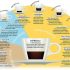 Cum alegem rasnita de cafea potrivita?